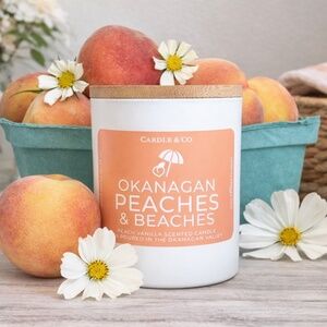 Cardle & Co Okanagan Collection Candles | Hand Poured Coconut Soy Wax | Made in
